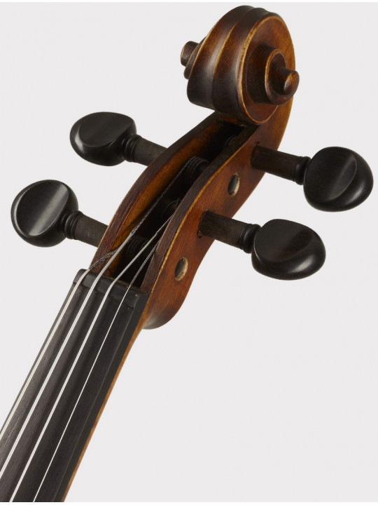Скрипка Strunal 176-4/4 Tivoli концертная, размер 4/4, верхняя дека - массив ели