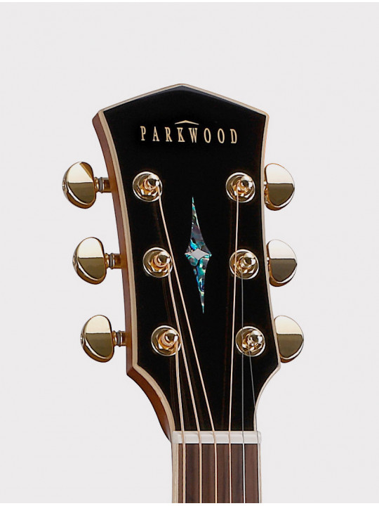 Акустическая гитара Parkwood P810 с кейсом