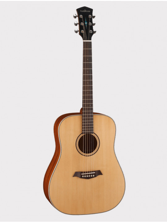 Акустическая гитара Parkwood S21-GT с чехлом