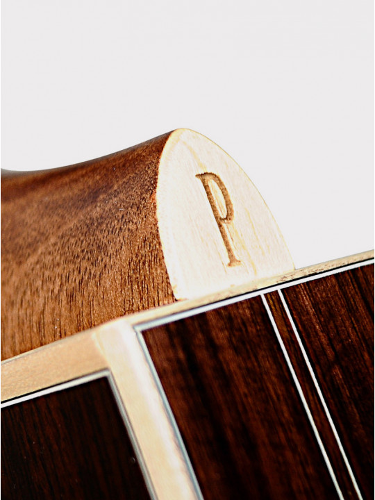 Акустическая гитара Parkwood P610 с кейсом