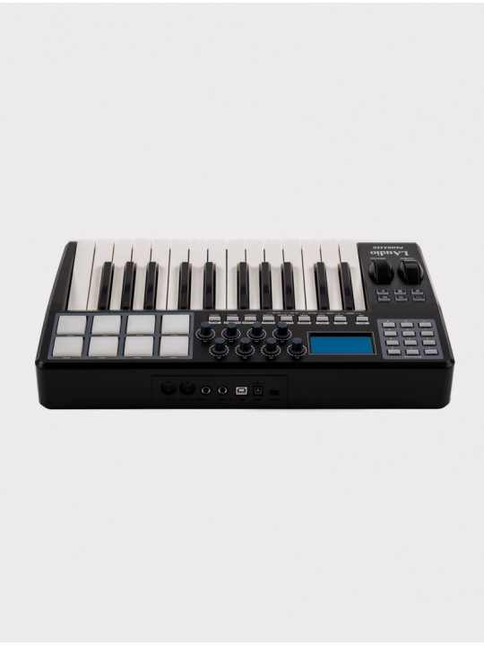 MIDI-контроллер LAudio Panda-25C, черный, 25 клавиш