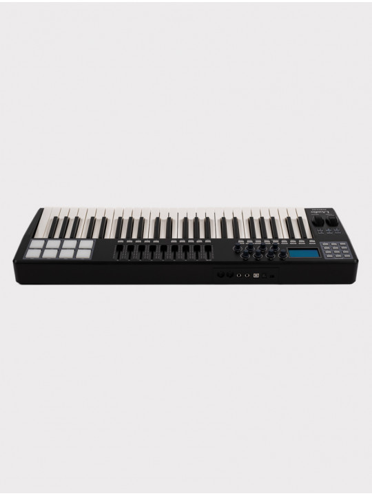 MIDI-контроллер LAudio Panda-49C, черный, 49 клавиш