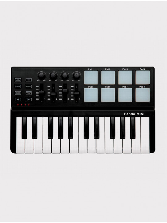 MIDI-контроллер LAudio PandaminiC, черный, 25 клавиш