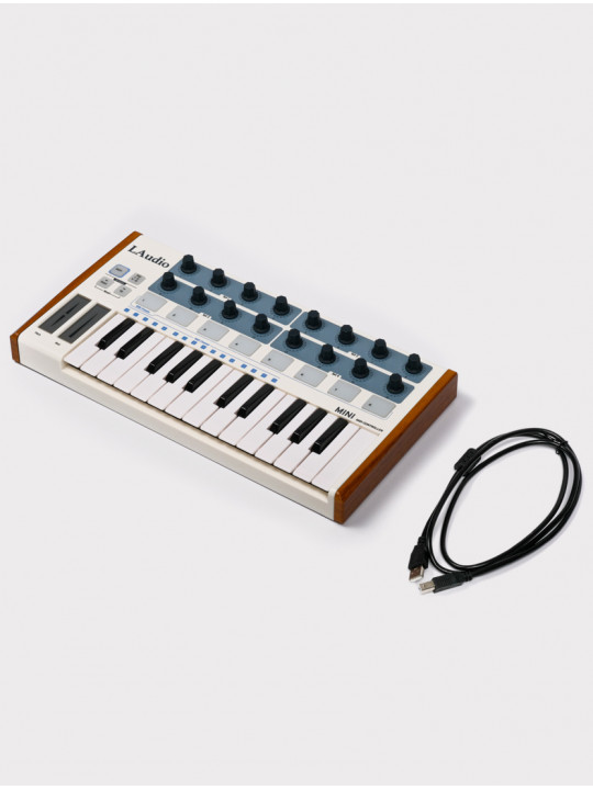 MIDI-контроллер LAudio Worldemini, серебристый, 25 клавиш