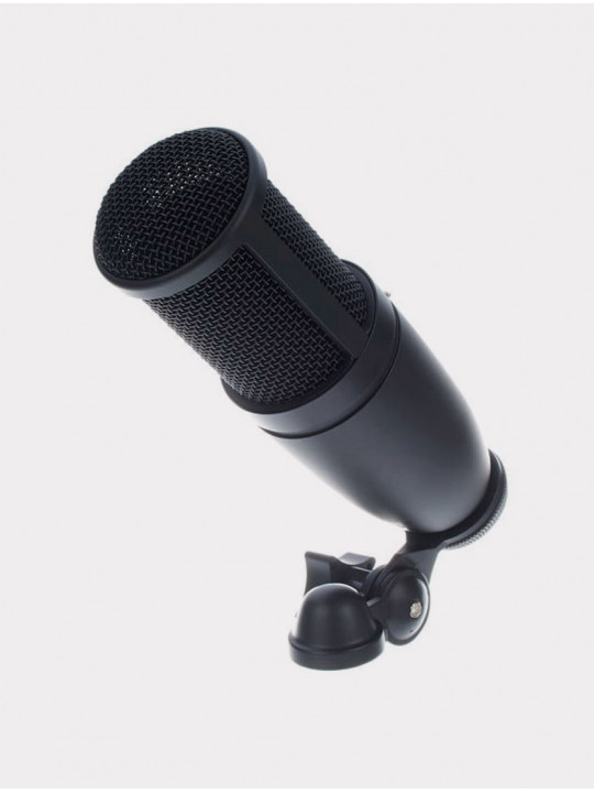 Микрофон конденсаторный AKG P120
